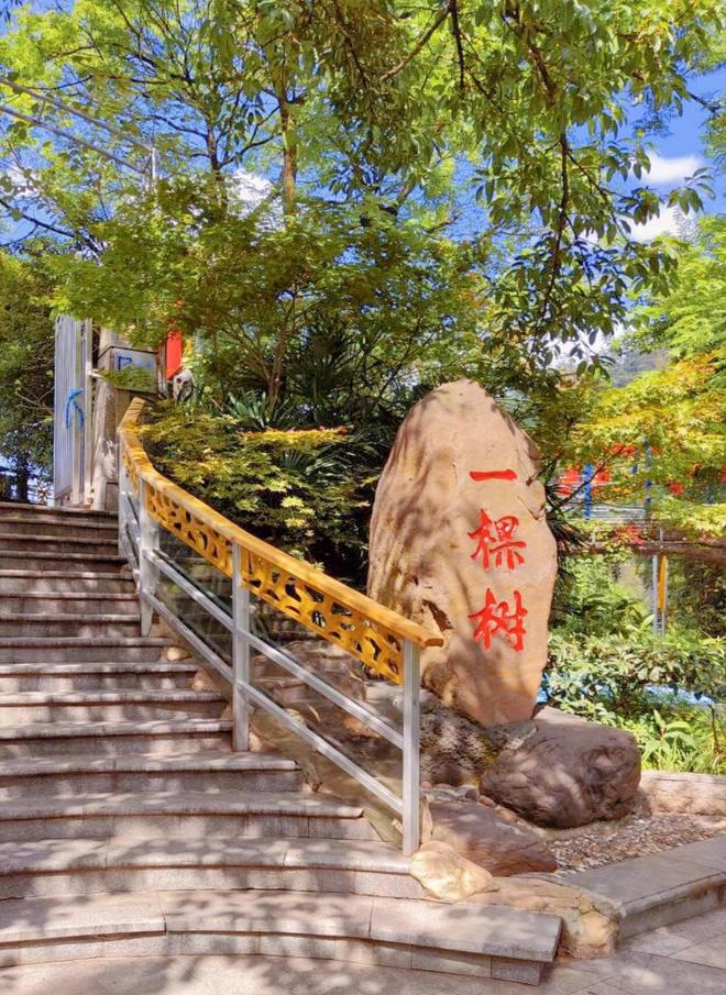 天亲子游攻略动物园+科技馆路线+预算分享